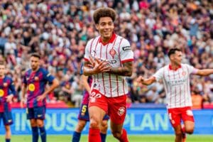 Witsel