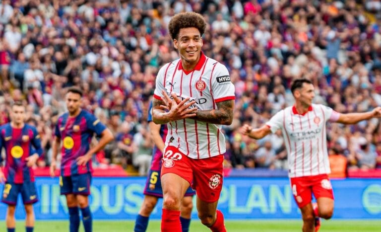 Witsel